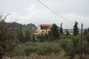 View of the house through the olive groves